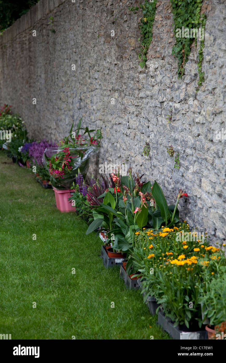 Stone wall garden flowers hi-res stock photography and images - Alamy