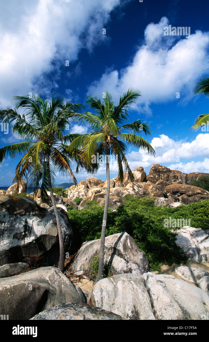 British virgin islands formation costs