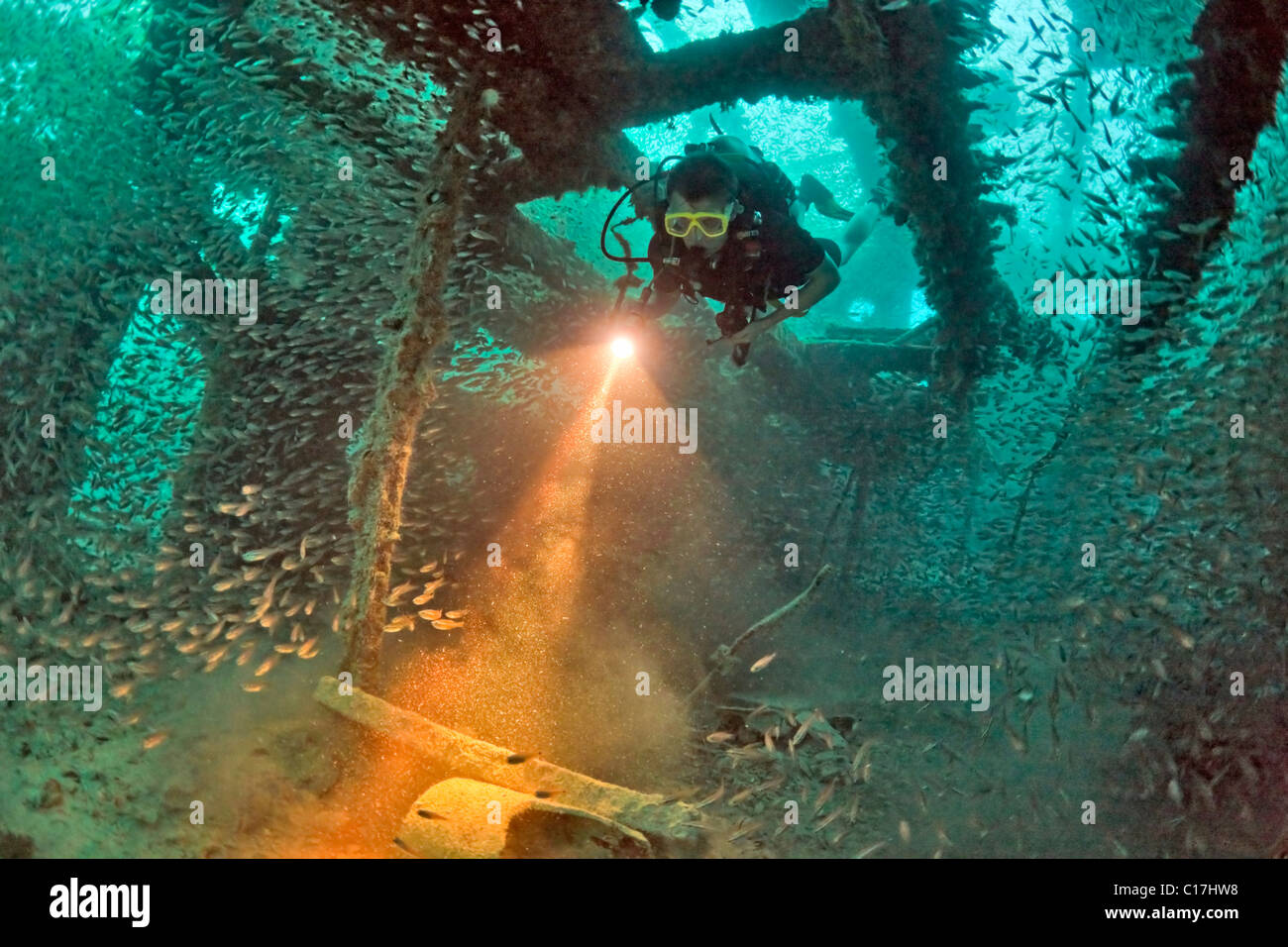 A scuba diver's torch beam highlights the glassfish and sediment in the Rosalie Moller shipwreck in the Red Sea Gulf Of Suez.. Stock Photo
