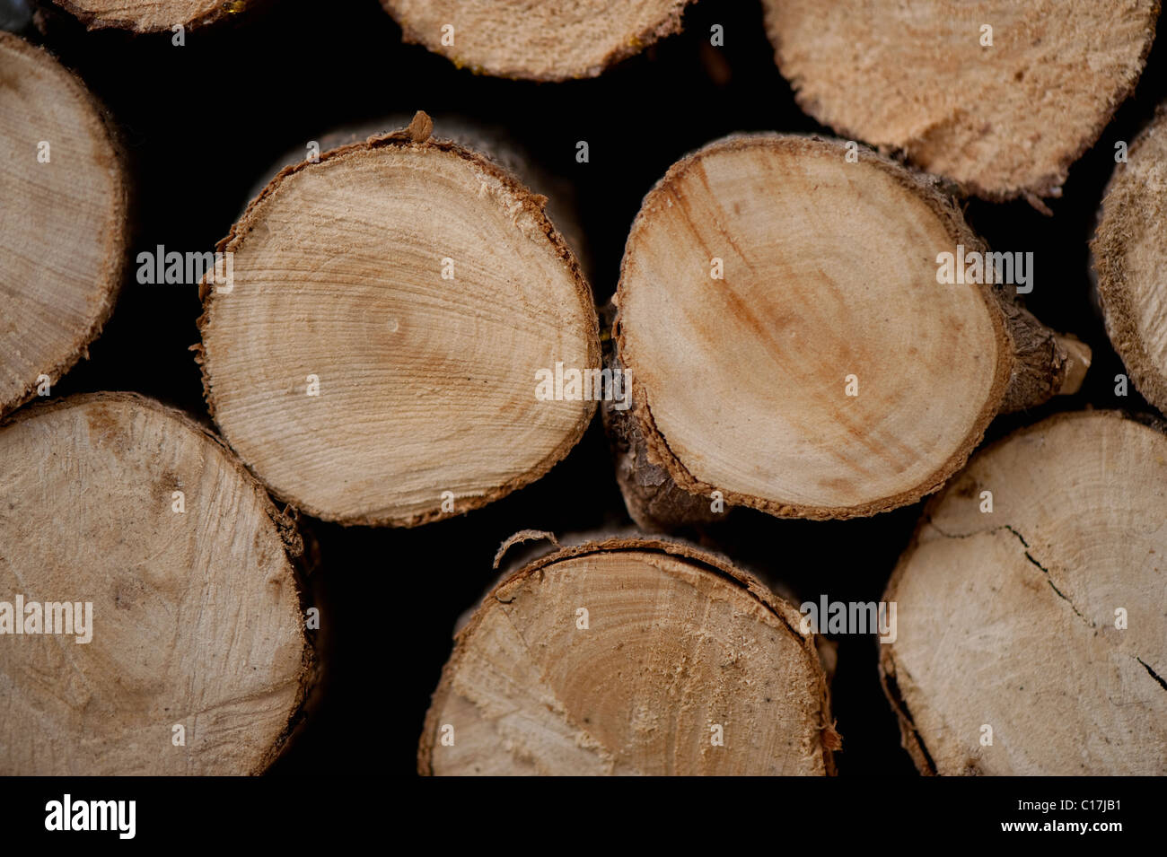 Stacked pile of firewood logs. Stock Photo