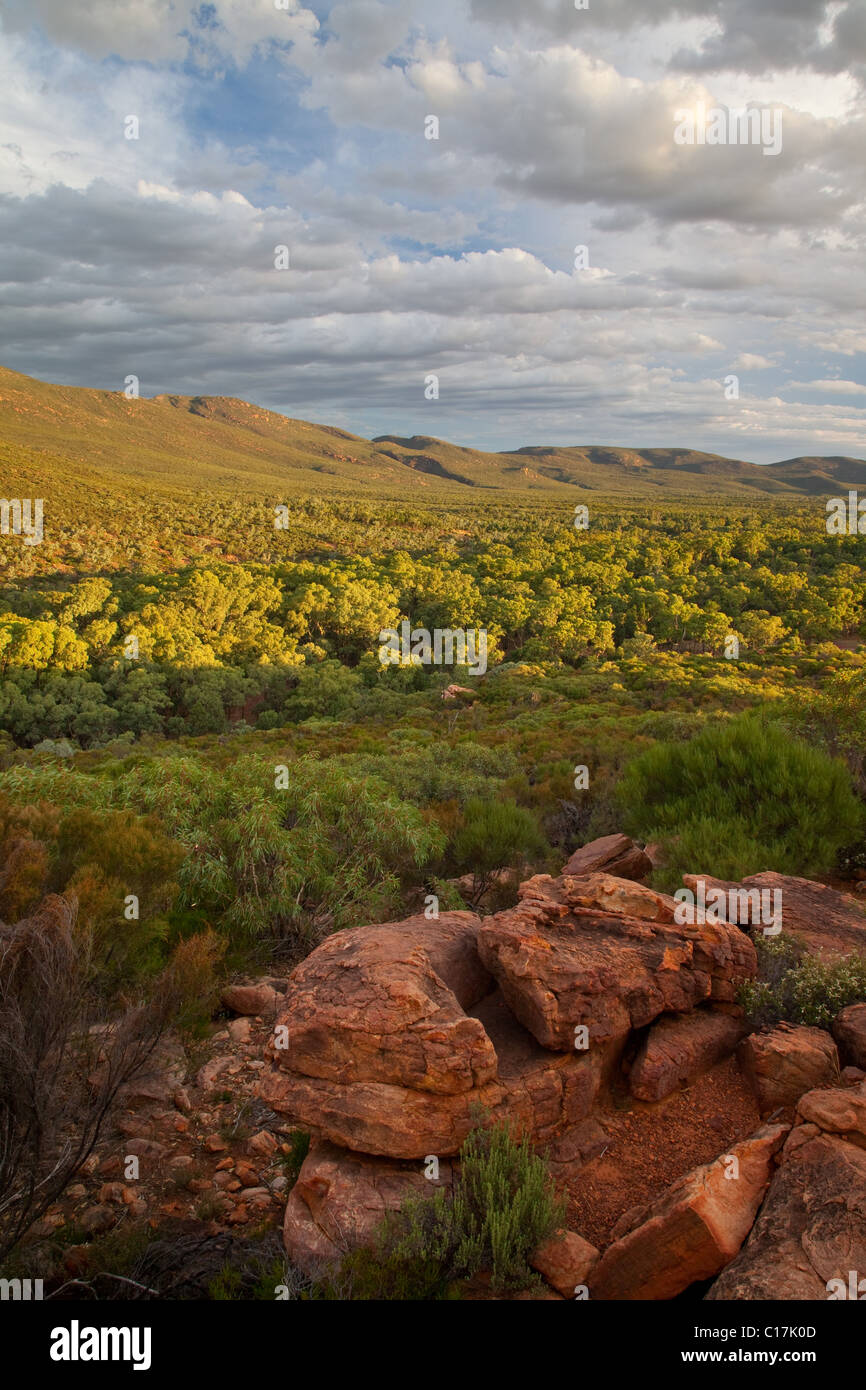 ABC Range above Wilpena Pound (Ikara), Flinder Ranges National Park, South Australia, Australia Stock Photo