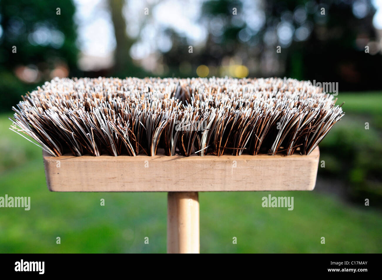 A standard garden brush Stock Photo Alamy