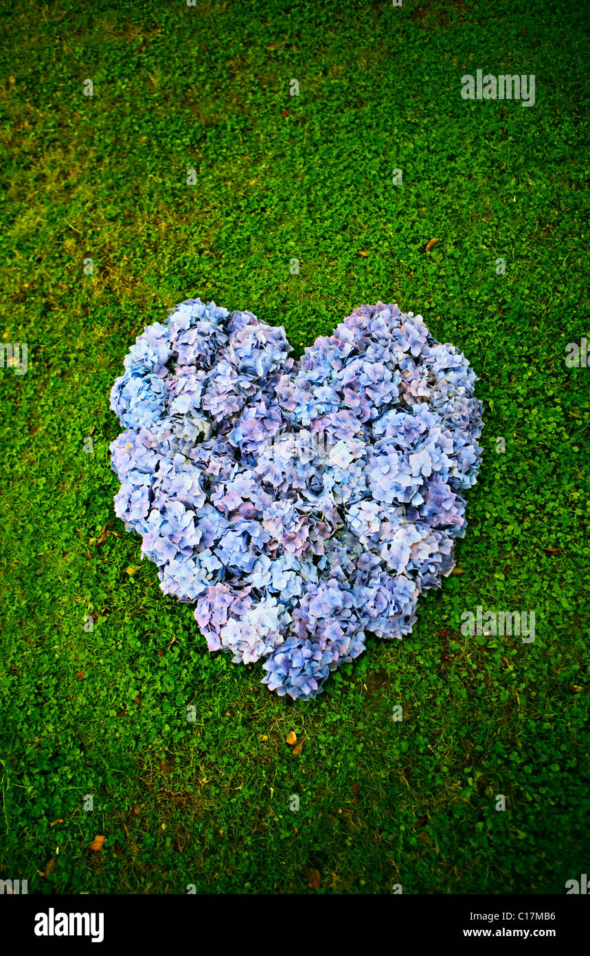 Purple Heart Stock Photo