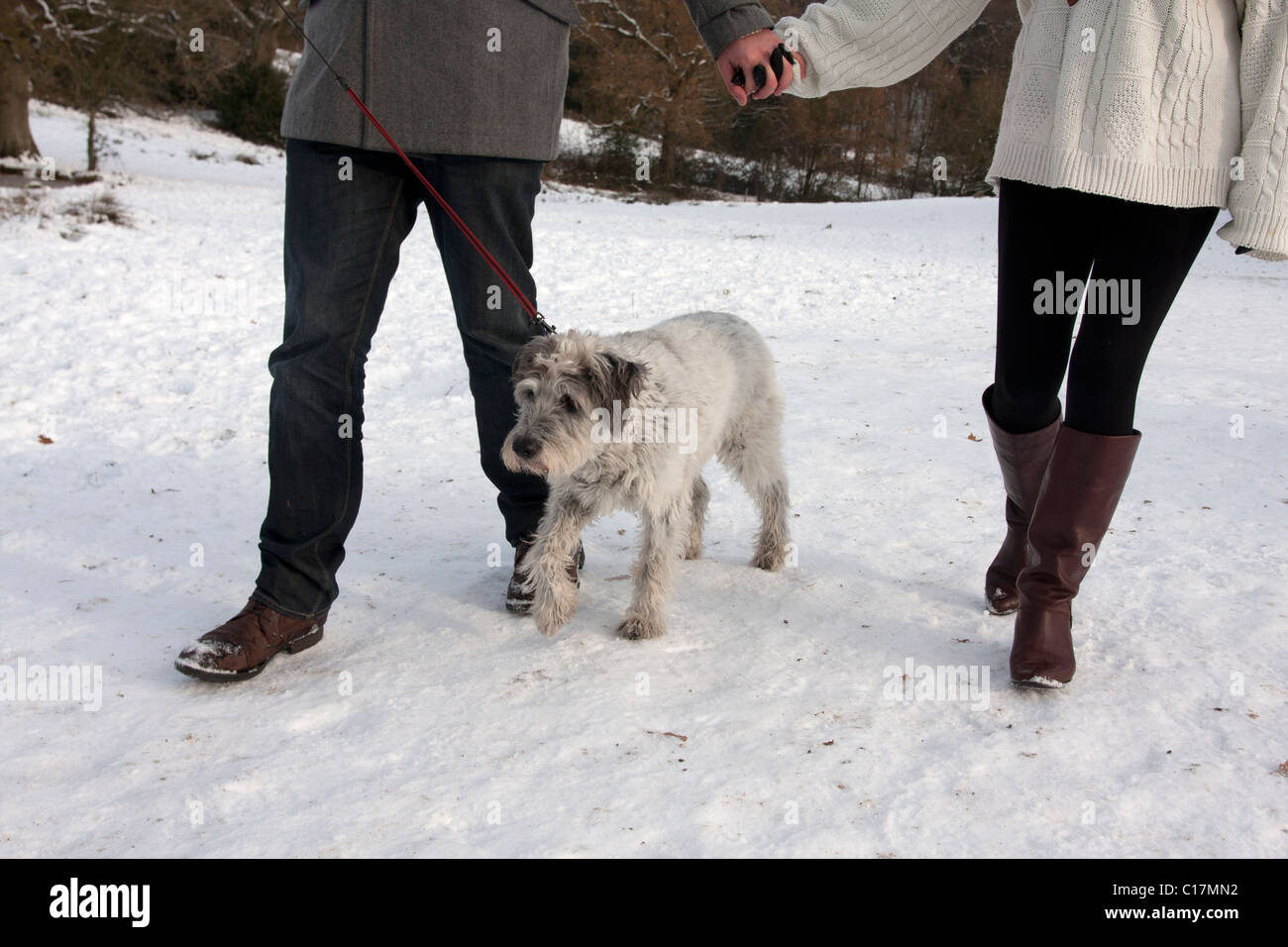 young couple walking dog in snow Stock Photo - Alamy