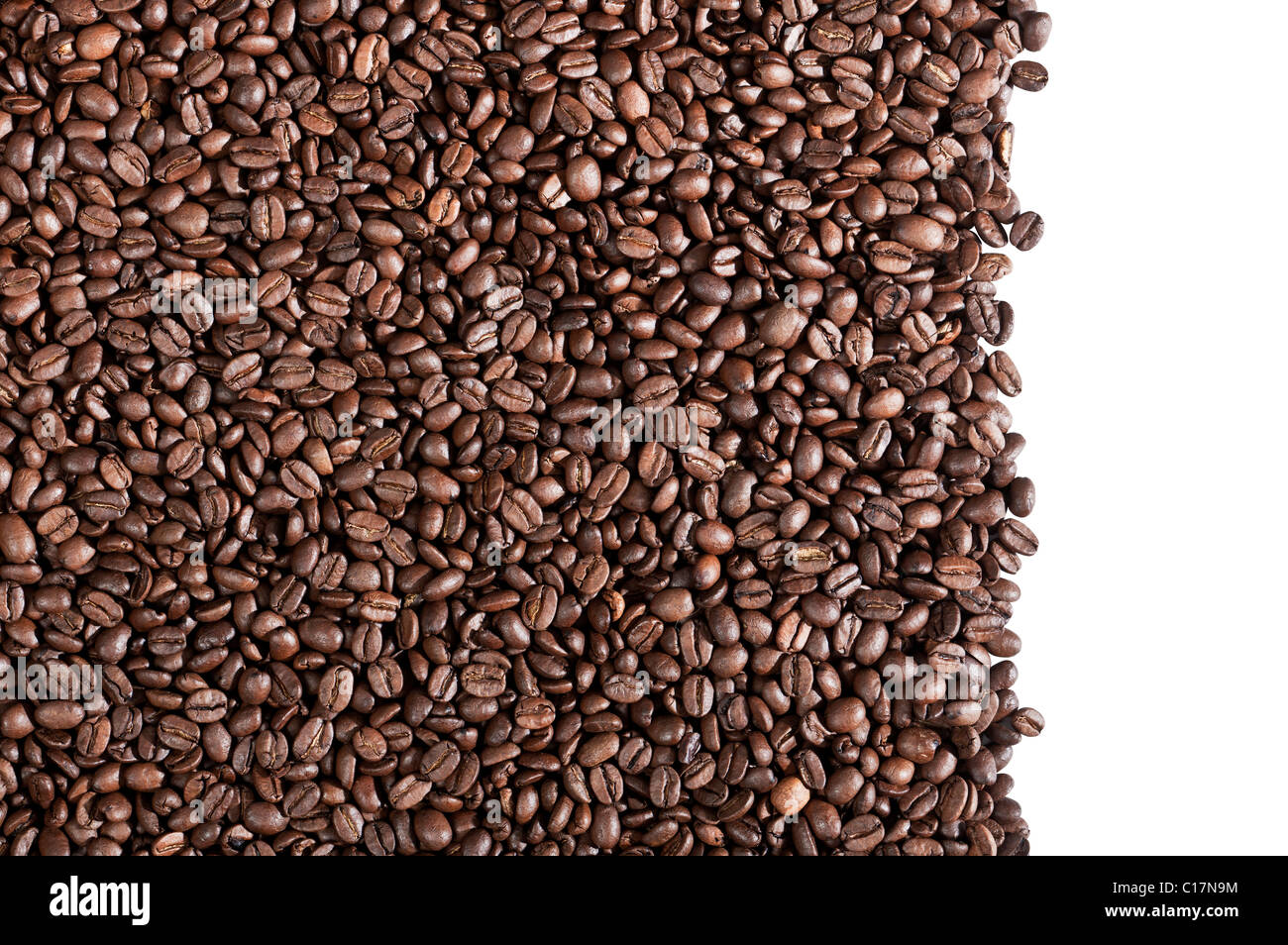 Fresh roasted coffee beans ready for the grinder isolated on white background Stock Photo