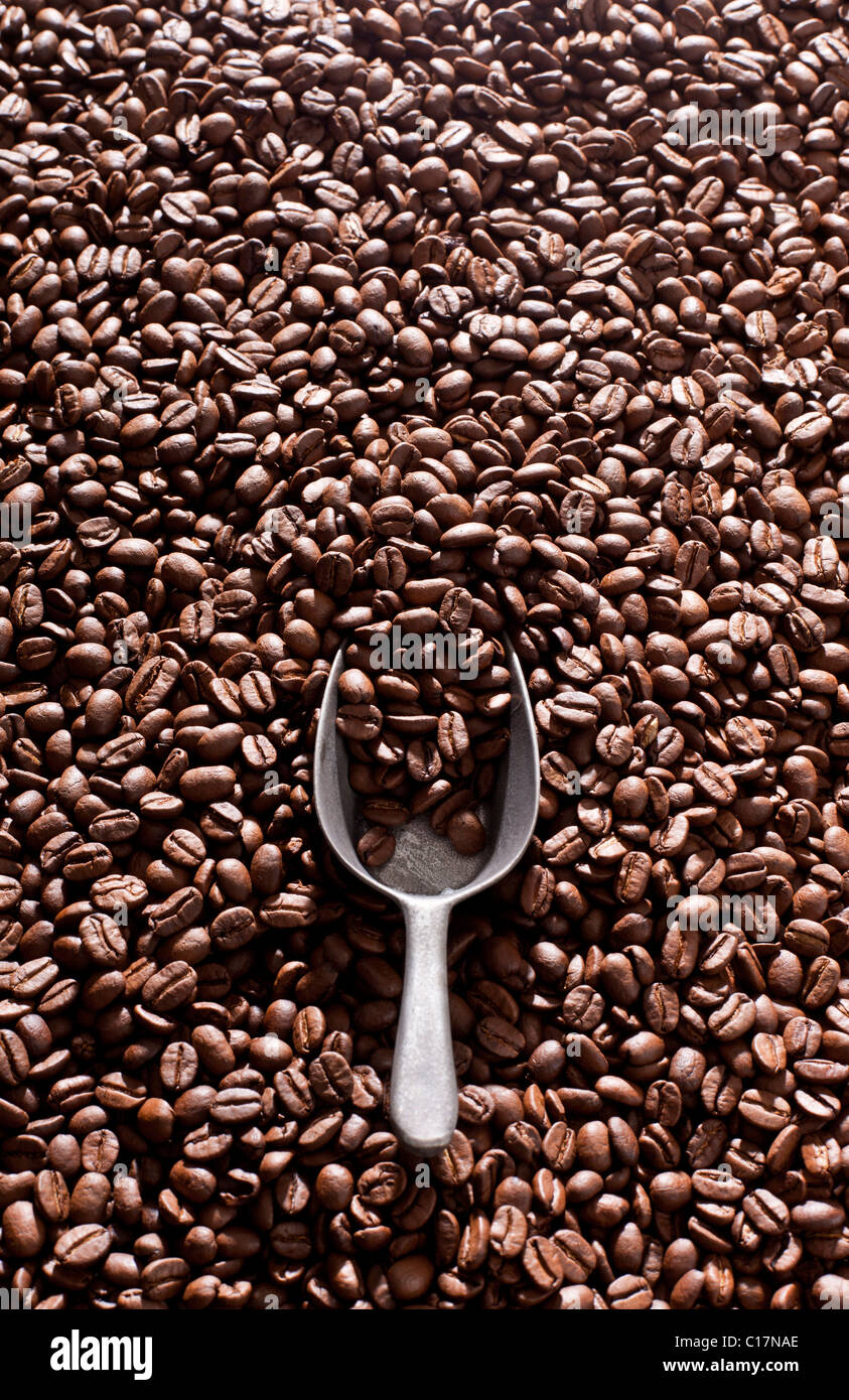 Coffee beans and a scoop - selective focus Stock Photo