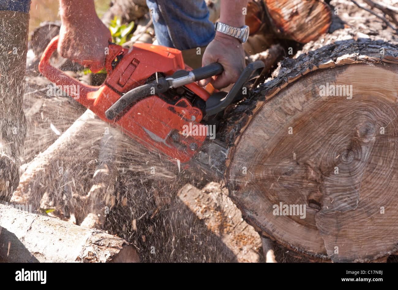 Lumberjack hard at work on a warm summer day Stock Photo