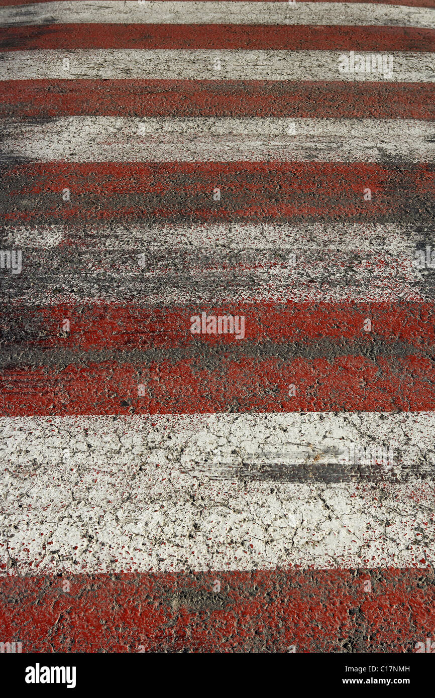 Traffic zebra, signal on the ground. Spain. Stock Photo