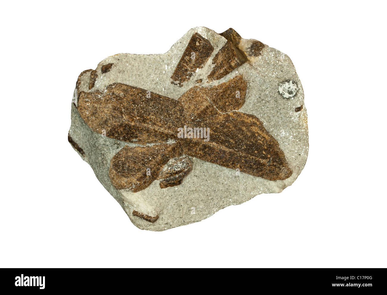 Cross Rocks Staraulite Staurolite cross in Mica Stock Photo - Alamy
