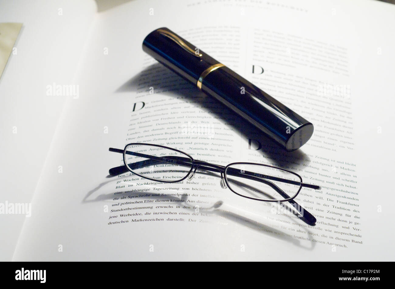 Pair of glasses with glasses-case, eyewear Stock Photo