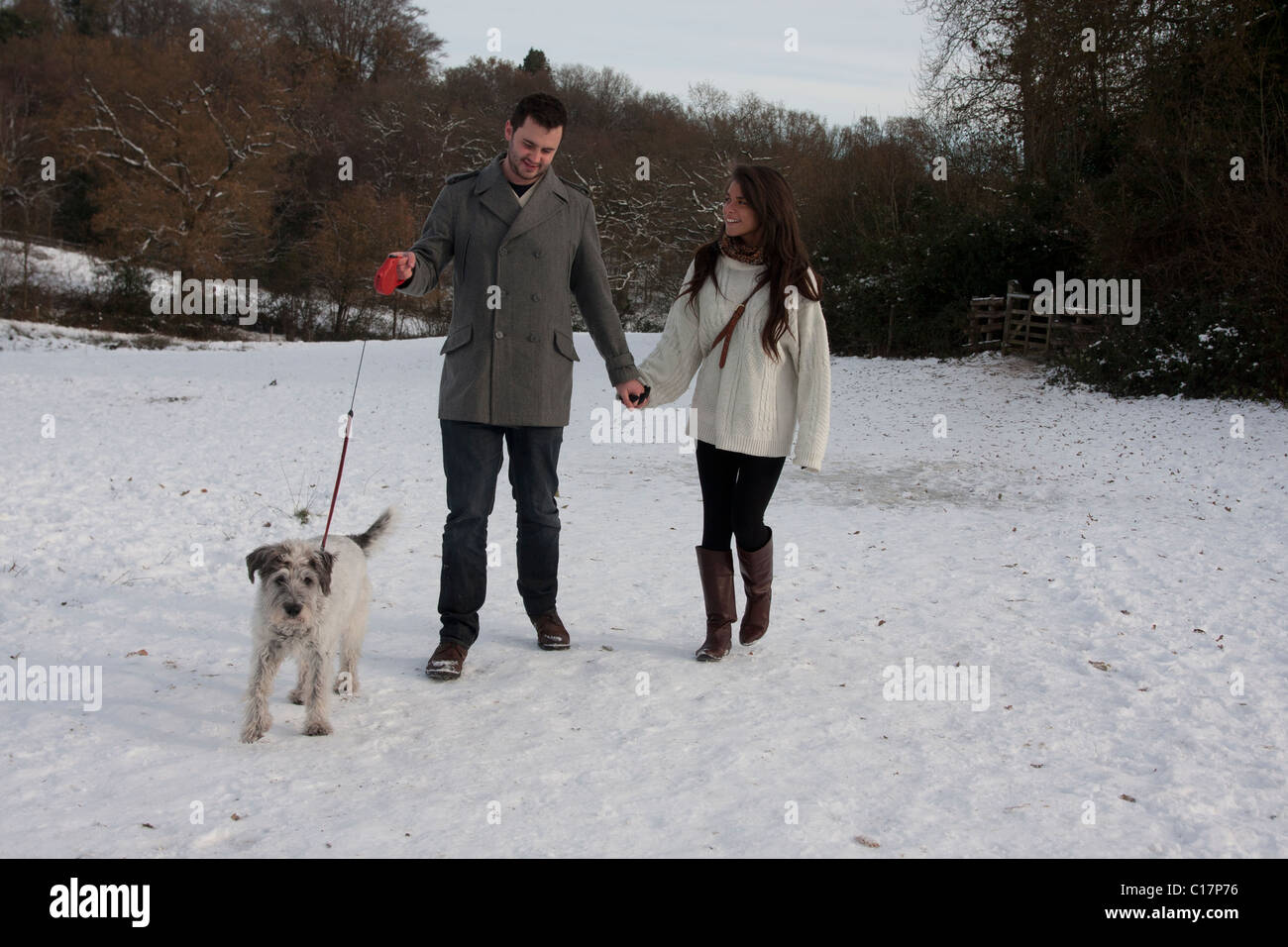 young couple walking dog in snow Stock Photo - Alamy
