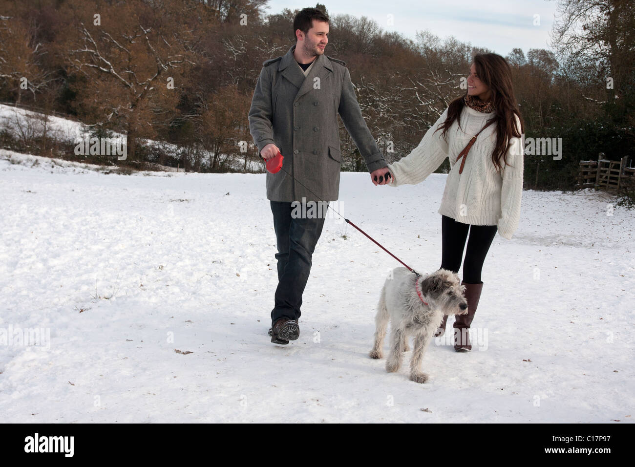 young couple walking dog in snow Stock Photo - Alamy