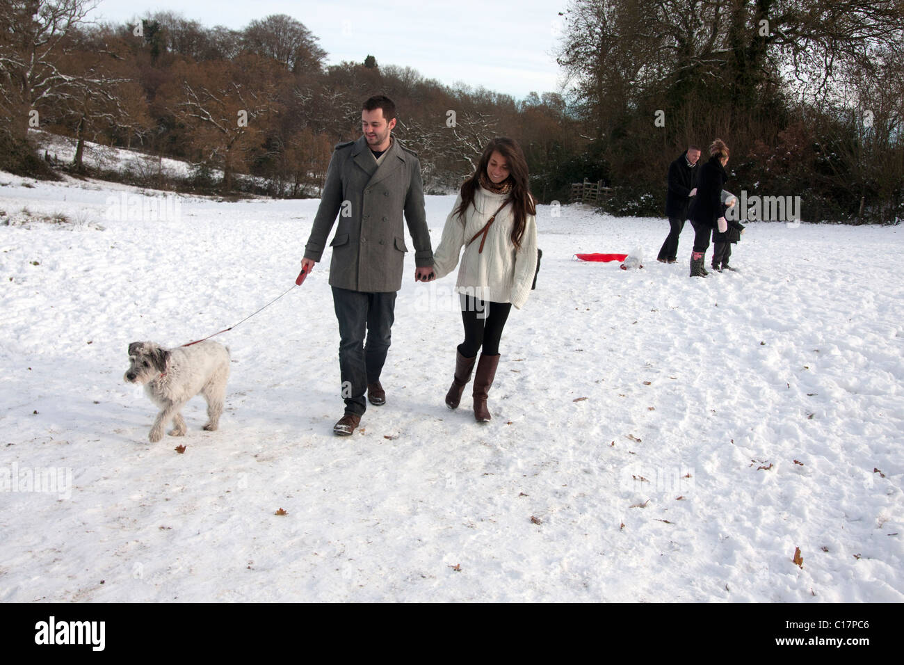 young couple walking dog in snow Stock Photo - Alamy