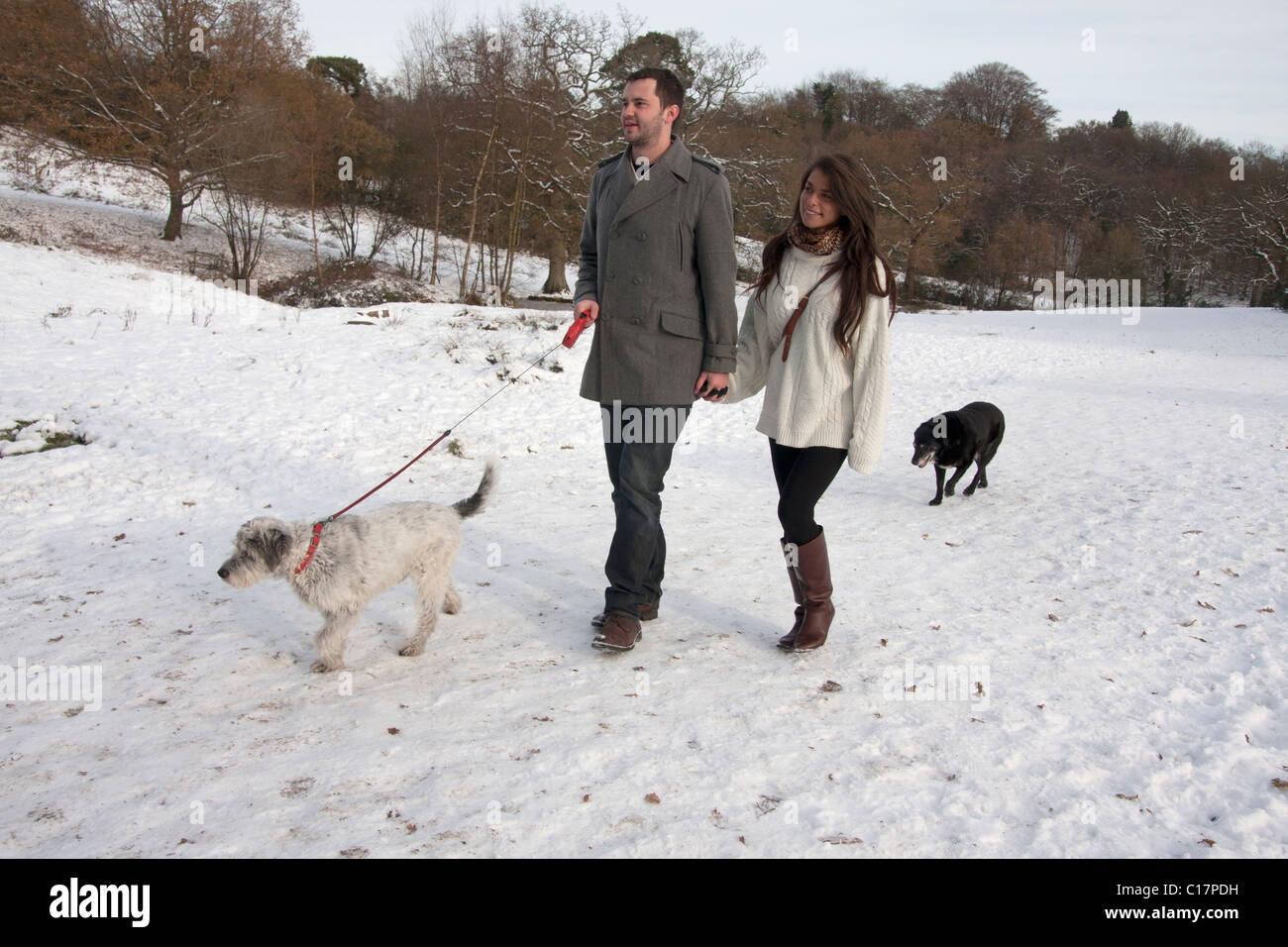 young couple walking dog in snow Stock Photo Alamy