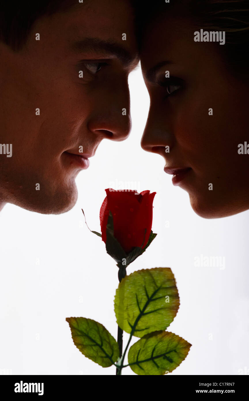 Lovers with a red rose looking into each other's eyes, backlight Stock Photo