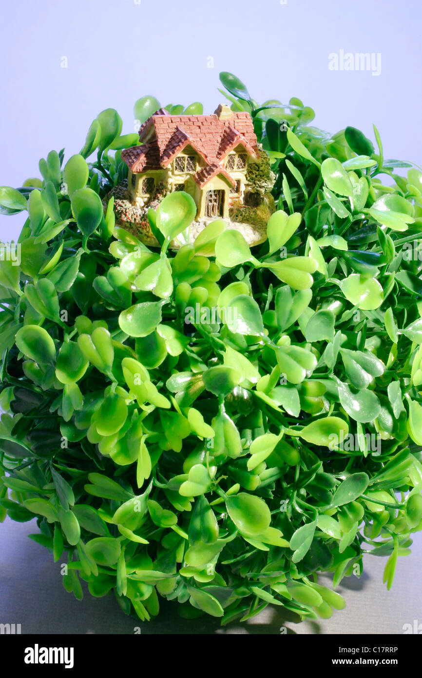 Plastic house plants hires stock photography and images Alamy