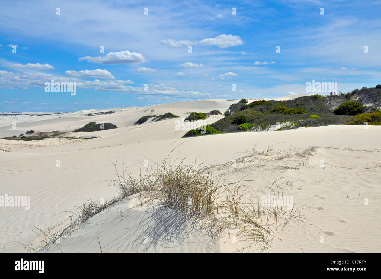 Sand dune, De Hoop Nature Reserve, South Africa, Africa Stock Photo