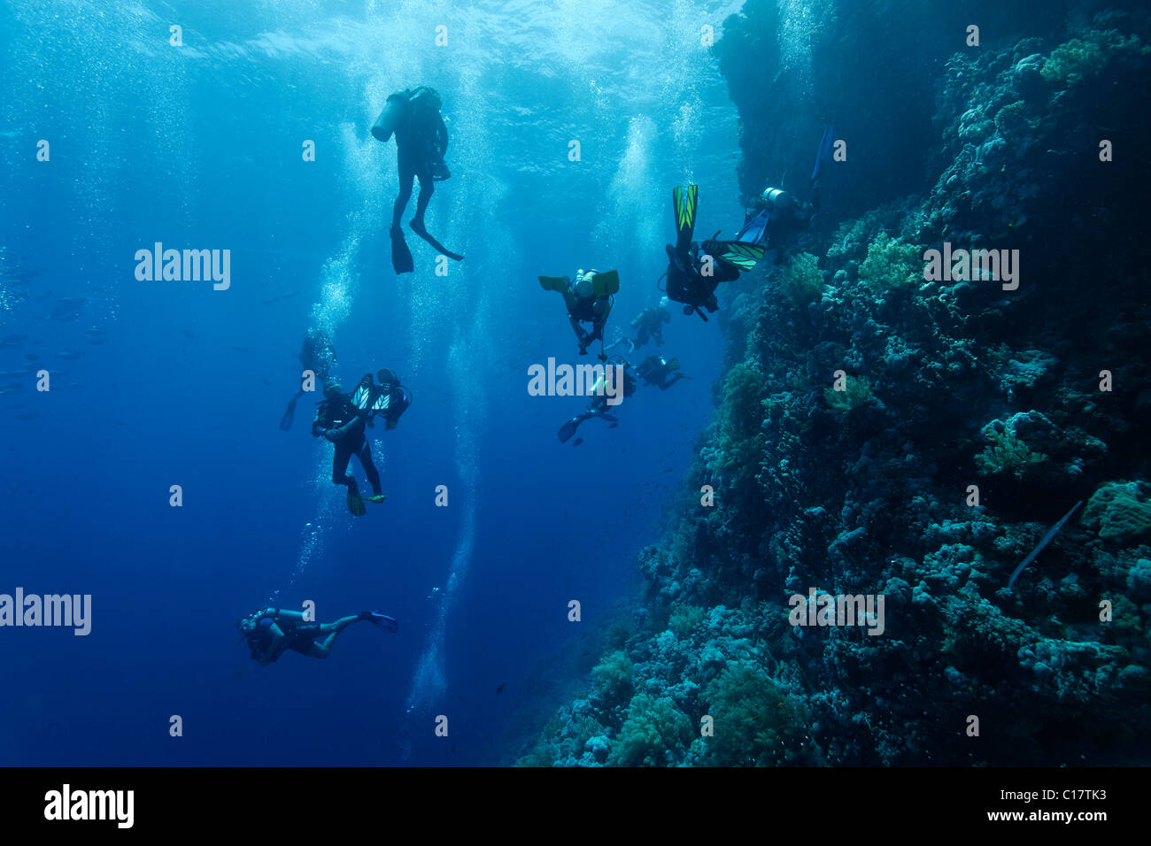 Undisciplined, chaotic scuba diver group at coral reef, Hurghada, Brother Islands, Red Sea, Egypt, Africa Stock Photo