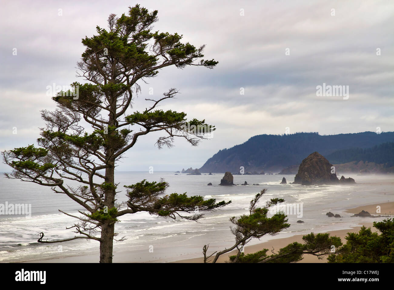 View of Haystack Rock one foggy morning from Tolovana Beach Oregon Stock Photo