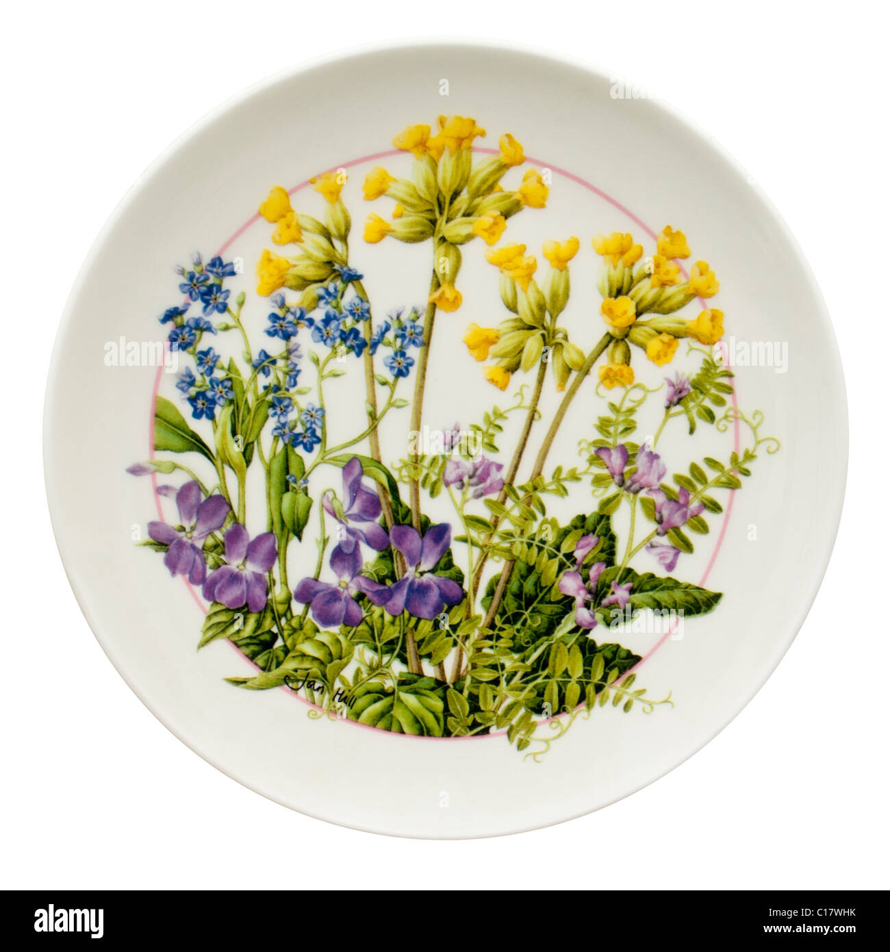 Royal Doulton porcelain plate Stock Photo Alamy