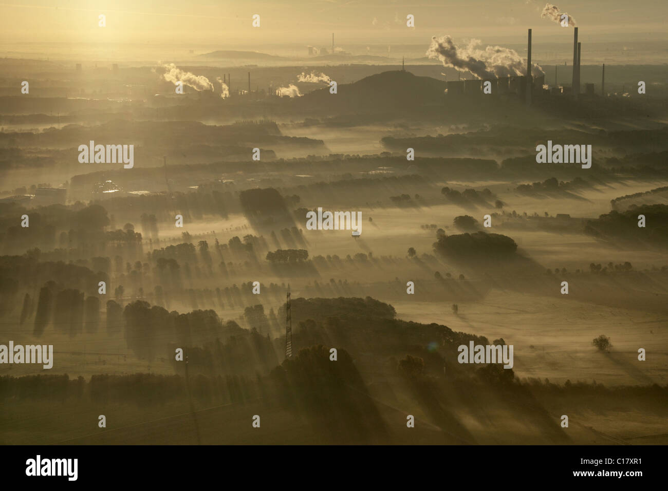 Aerial image, sunrise, early morning fog, industrial backdrop of the Scholven power plant, Scholven, Gelsenkirchen-Buer Stock Photo