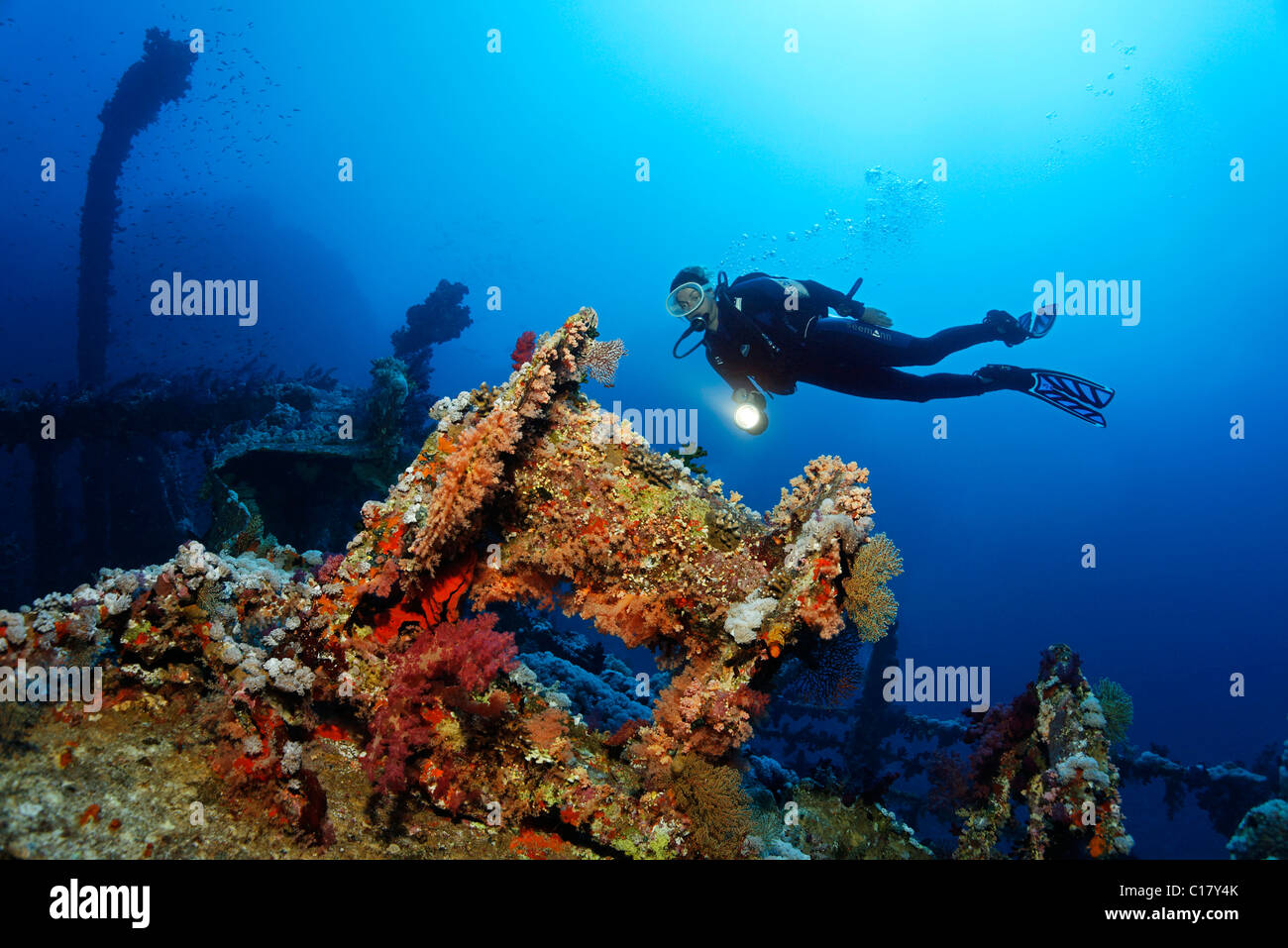Female scuba diver with a torch looking at the windlass of the Aida