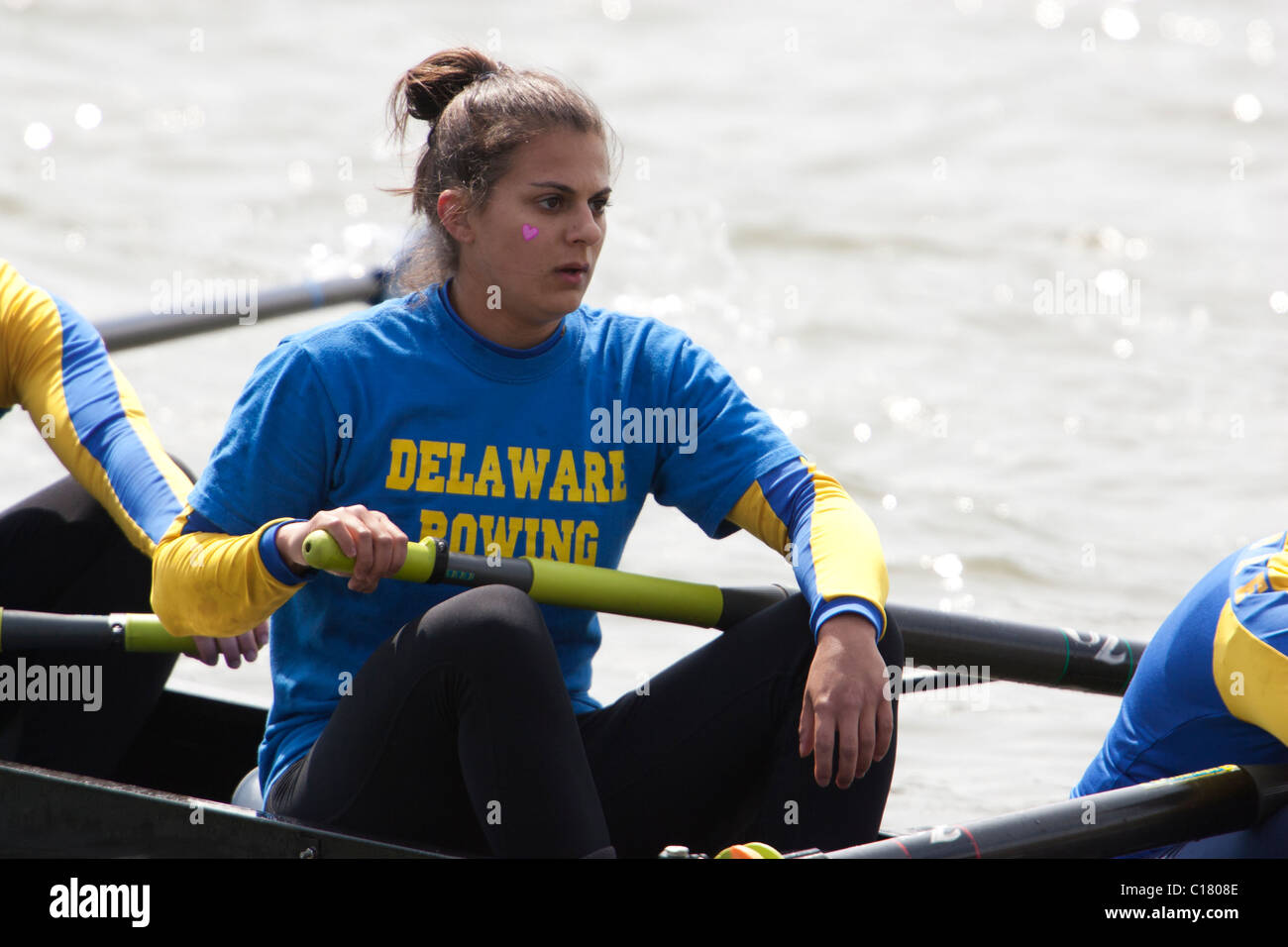 A University of Delaware student competing in the George Washington University Rowing Regatta on the Potomac River. Stock Photo