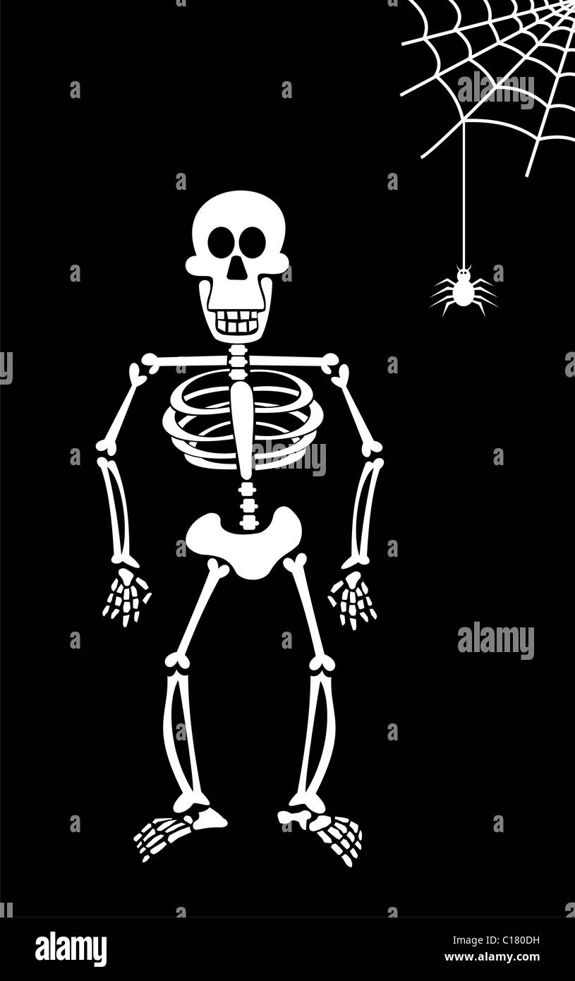 Halloween skeleton and spider hanging from his spiderweb. Black