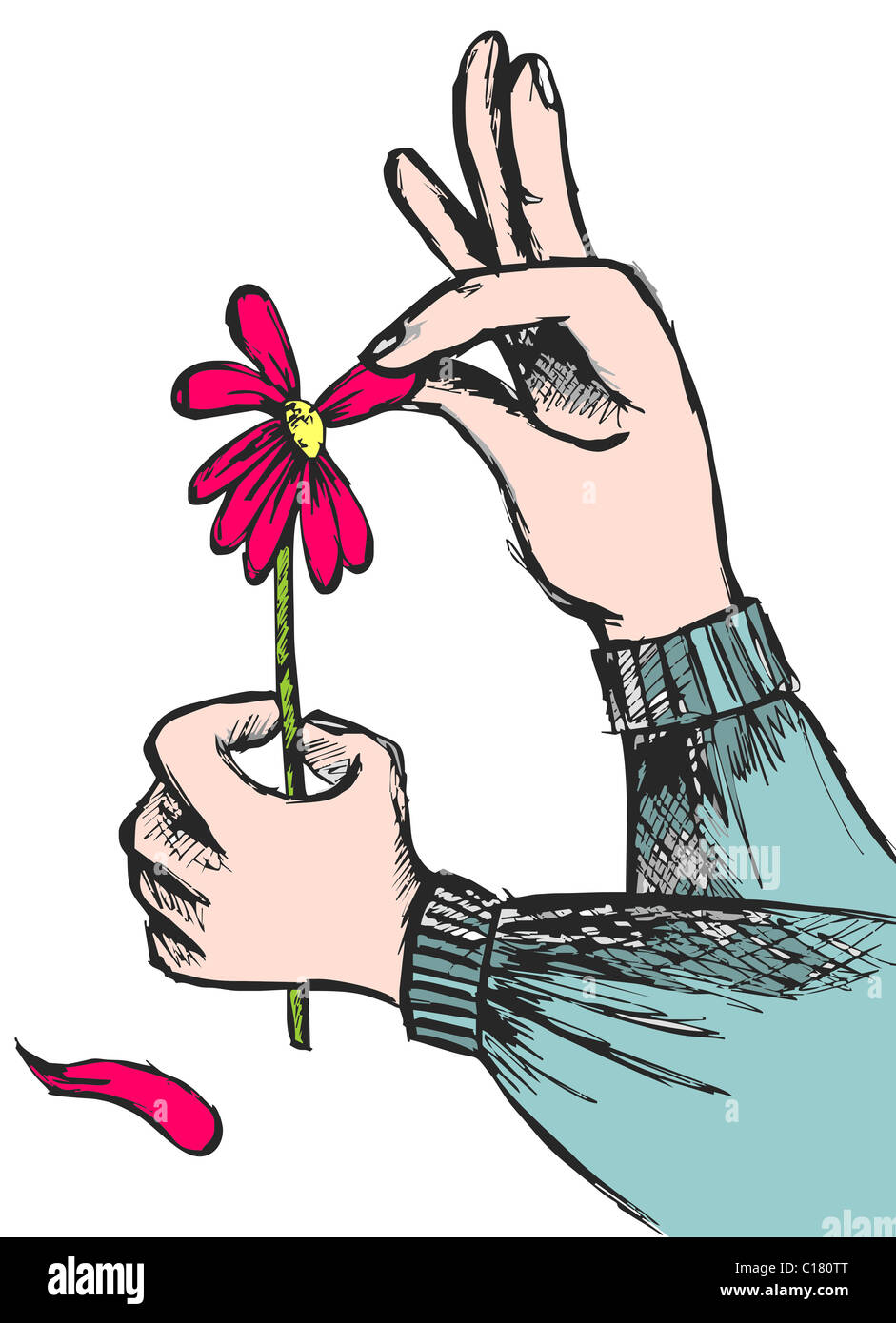 Sunflower hummingbird hi-res stock photography and images - Alamy