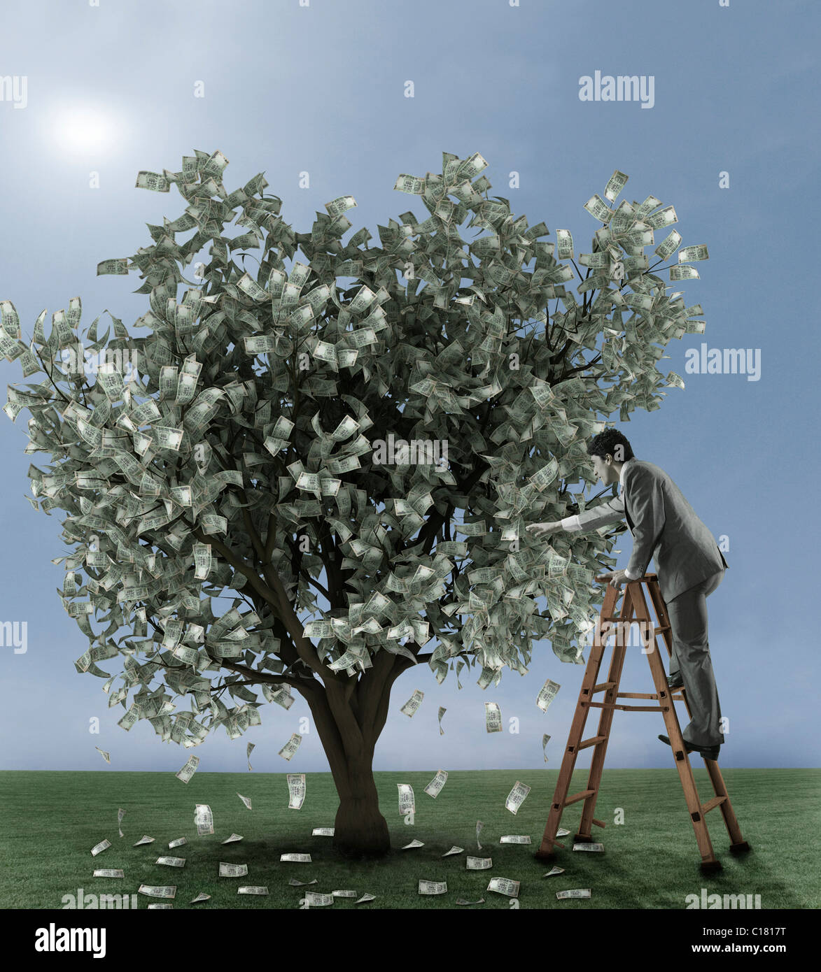 Step Ladder Picking Fruit Stock Photos & Step Ladder Picking Fruit ...