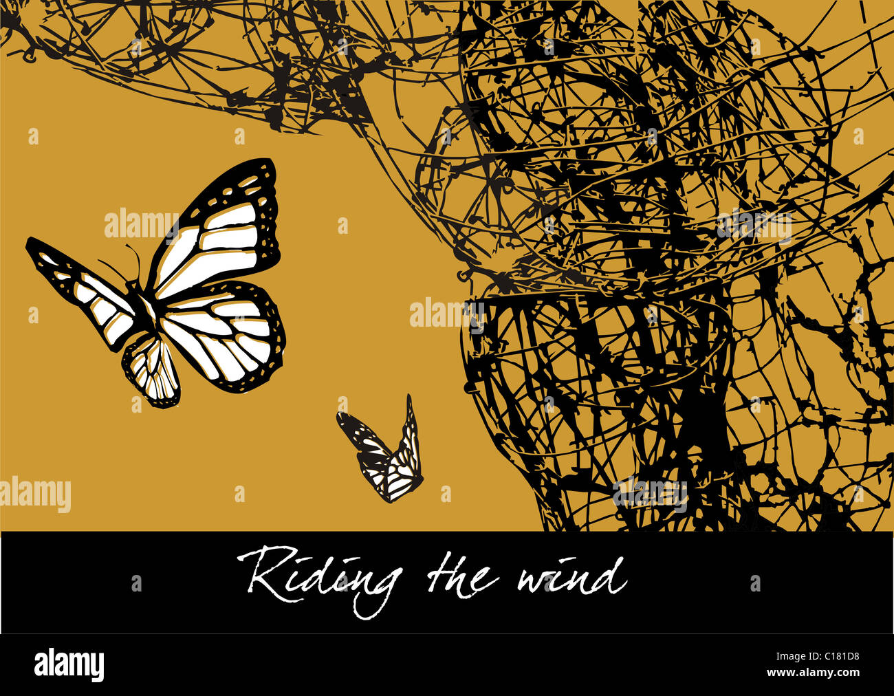 Butterfly leaving cocoon hires stock photography and images Alamy