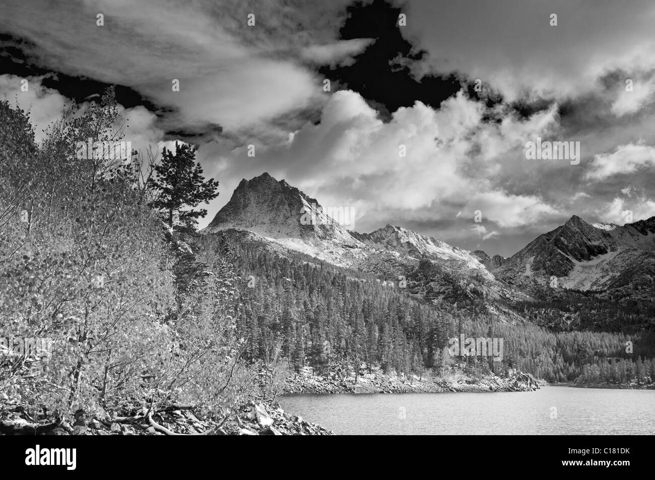 Fall aspens under Sierra peaks from South Lake, Inyo National Forest