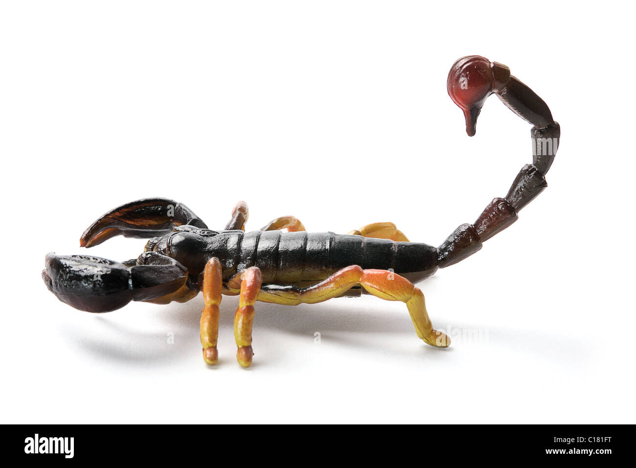 Plastic Scorpion Stock Photo - Alamy