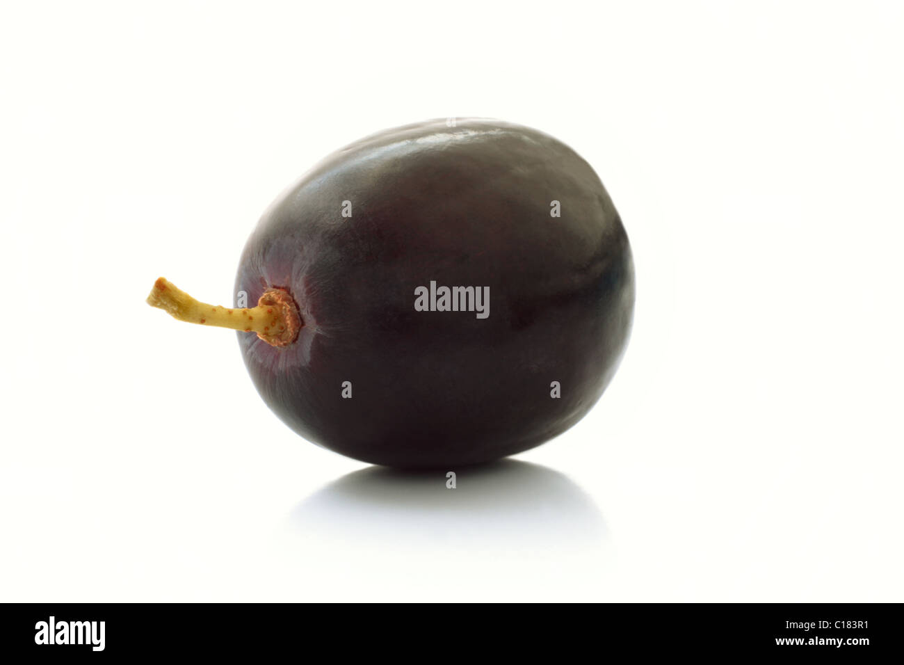 Single black grape close up with a reflection on a white background. Stock Photo