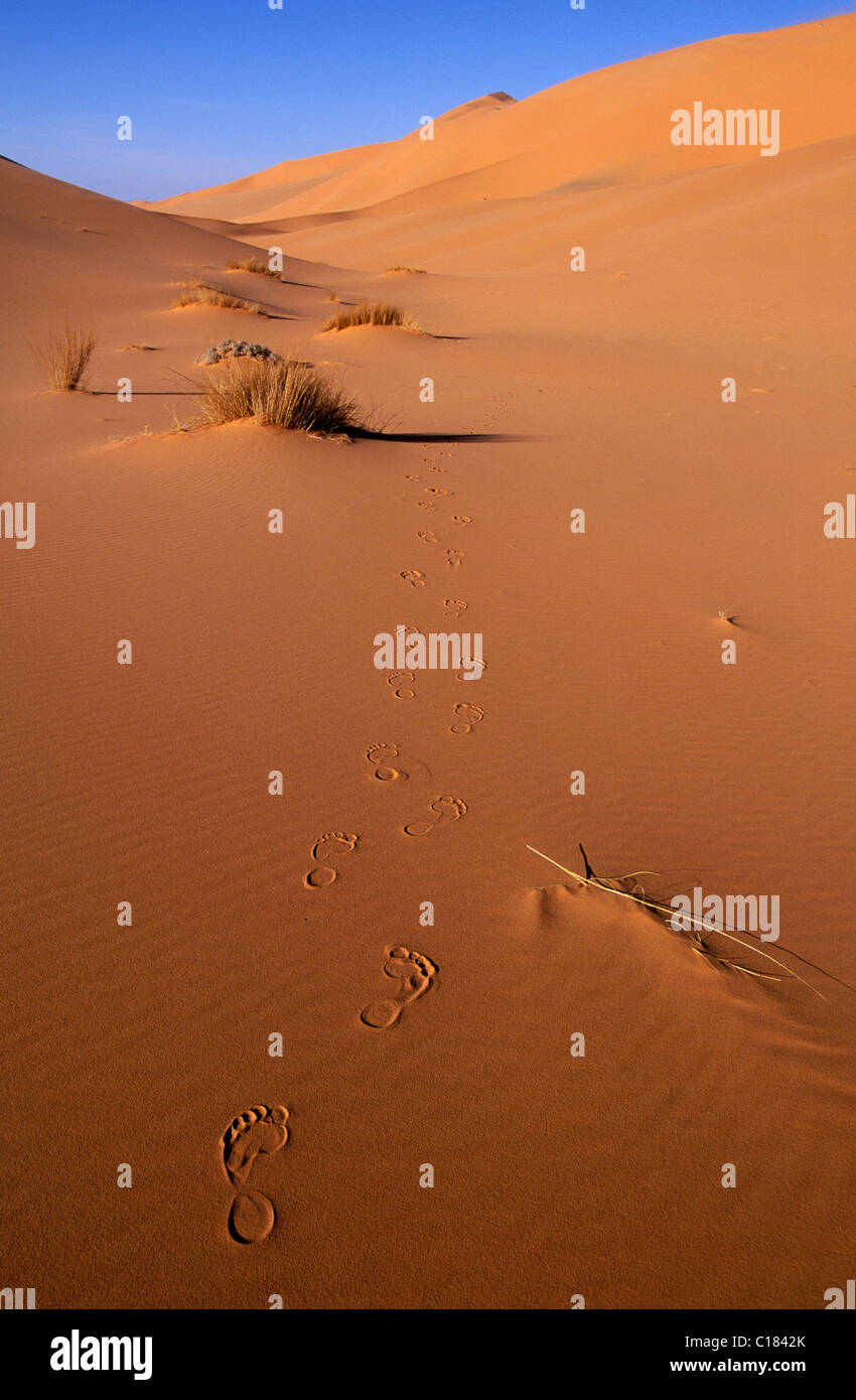 Libya, region of the desert, the Fezzan (Sahara), Erg of Mourzouk (Murzuq), trace of step in the ochre sand Stock Photo