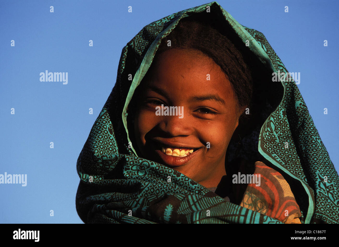 Niger, Sahara, the oasis of Timia in the mountainous massif of Air ...