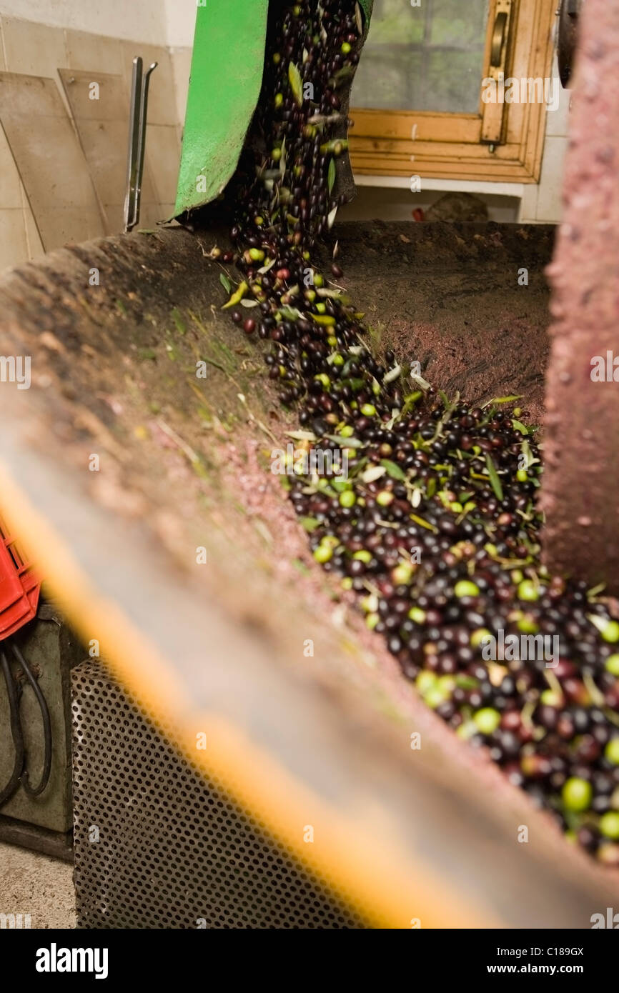 Olive mill hires stock photography and images Alamy