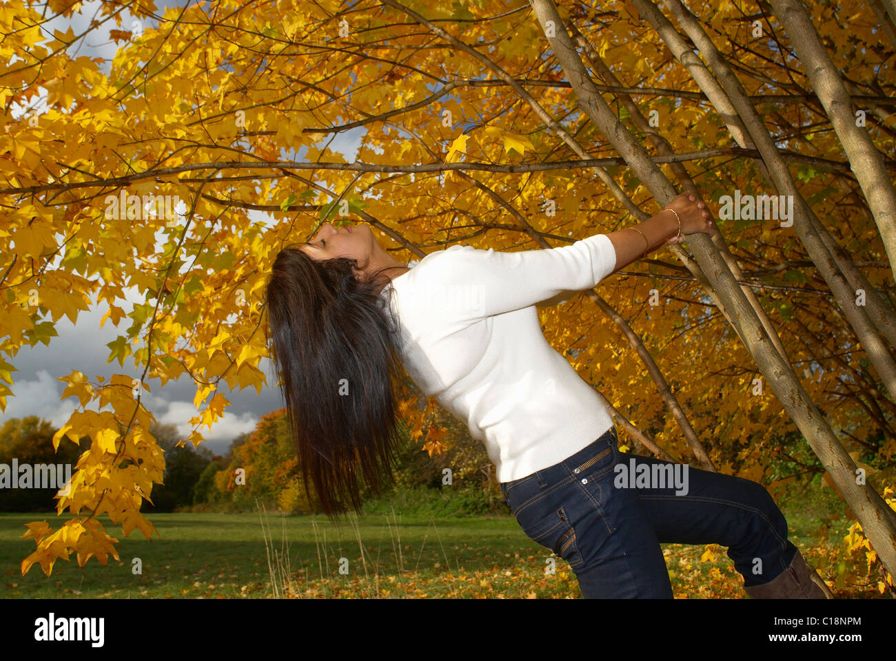 Woman pulling on tree in autumn Stock Photo