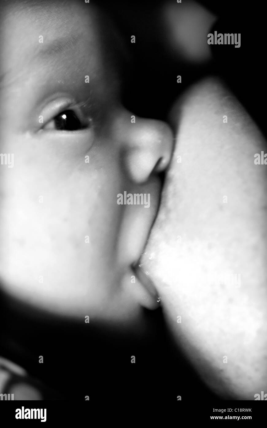 Breastfeeding Stock Photo