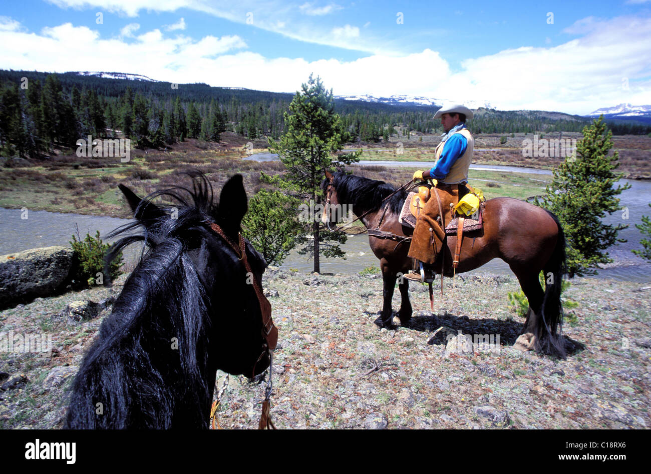 United States, Wyoming, Dubois, dude ranch, Triangle C ranch, wrangler and horses in the Wind