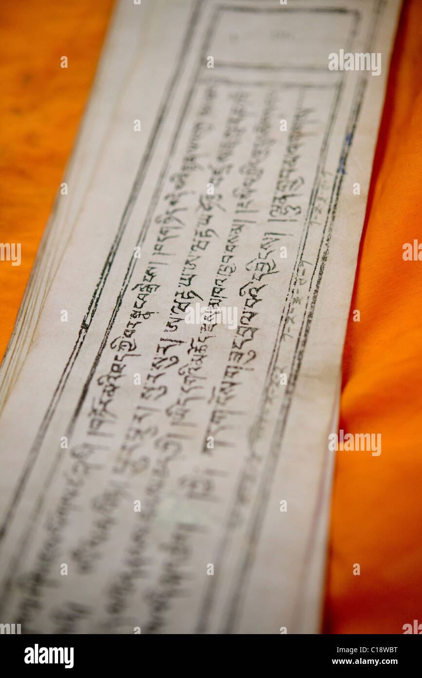 Detail of Tibetan script on prayer books at the Hemis Gompa, (Ladakh) Jammu & Kashmir, India Stock Photo