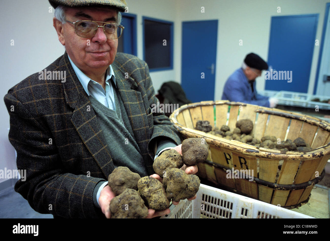 France, Vaucluse, Valayer family is one of the largest family of truffle producers in the area of the town of Richerenches Stock Photo