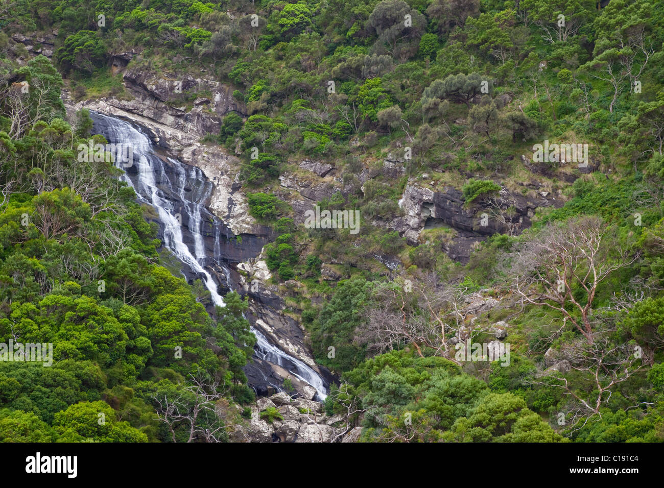 Carisbrook falls hires stock photography and images Alamy