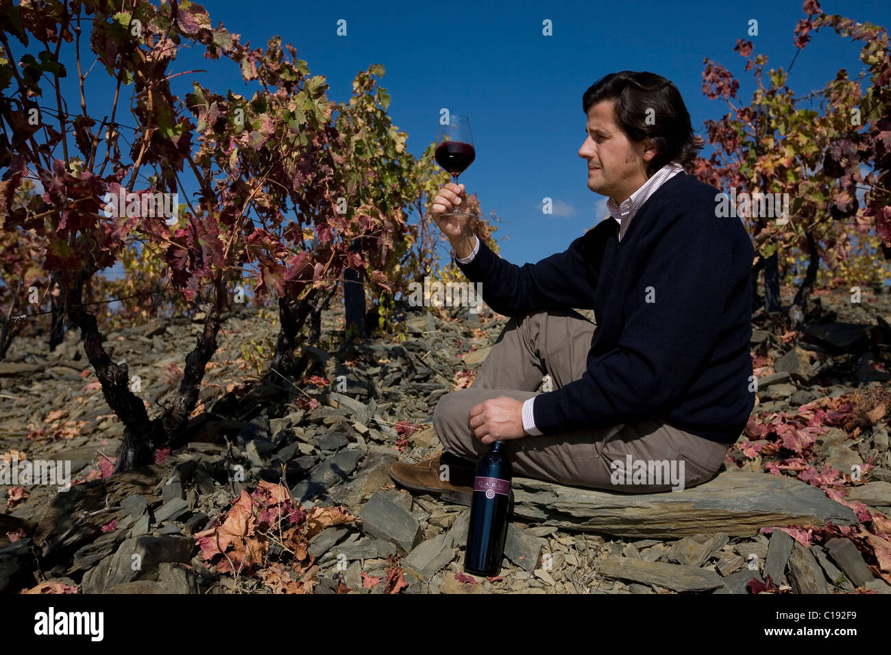 Oenologist Rui Madeira from CARM and VDS wineries, sitting on his Quinta das Verdelhas wineyard, Douro superior area Stock Photo