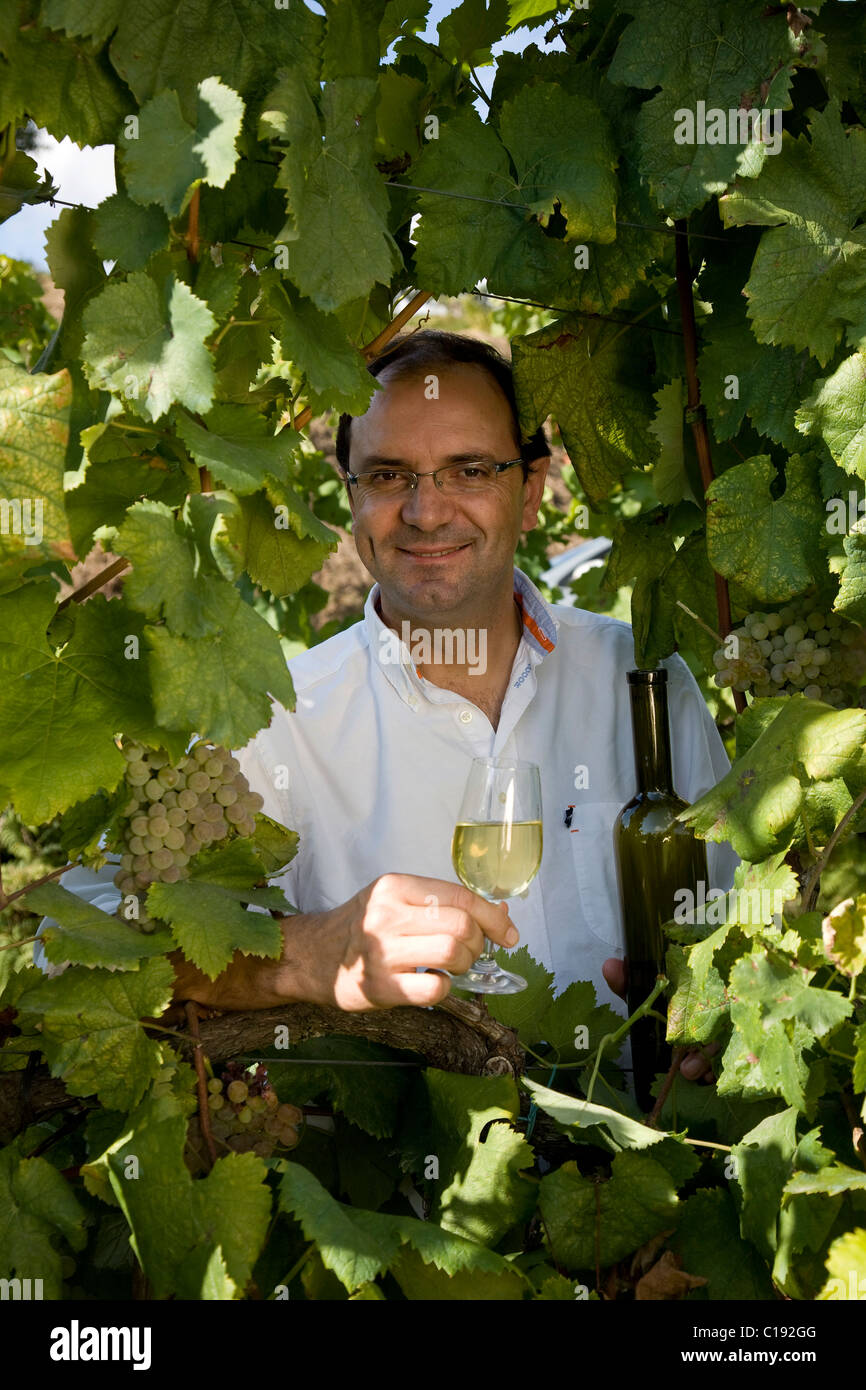 Oenologist Jorge Sousa Pinto in the vineyard of Quinta de Carapeços near the village of Amarante, Porto area Stock Photo