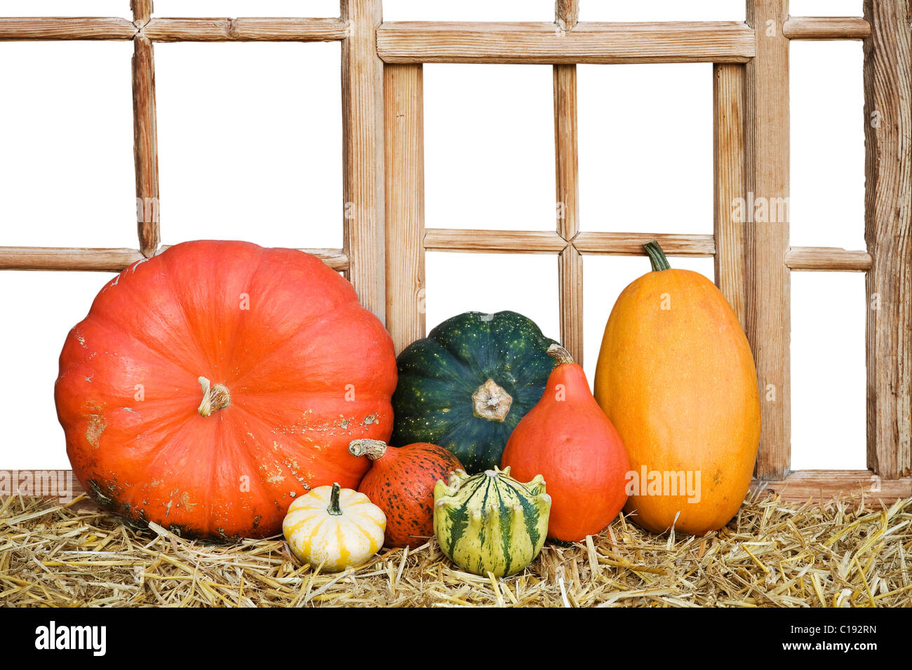 Colourful cucurbitas in front of an old wooden window Stock Photo