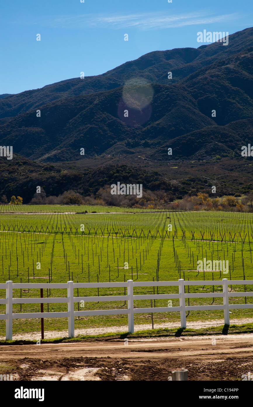 Farm Field, near Aguanga, California, United States of America Stock Photo