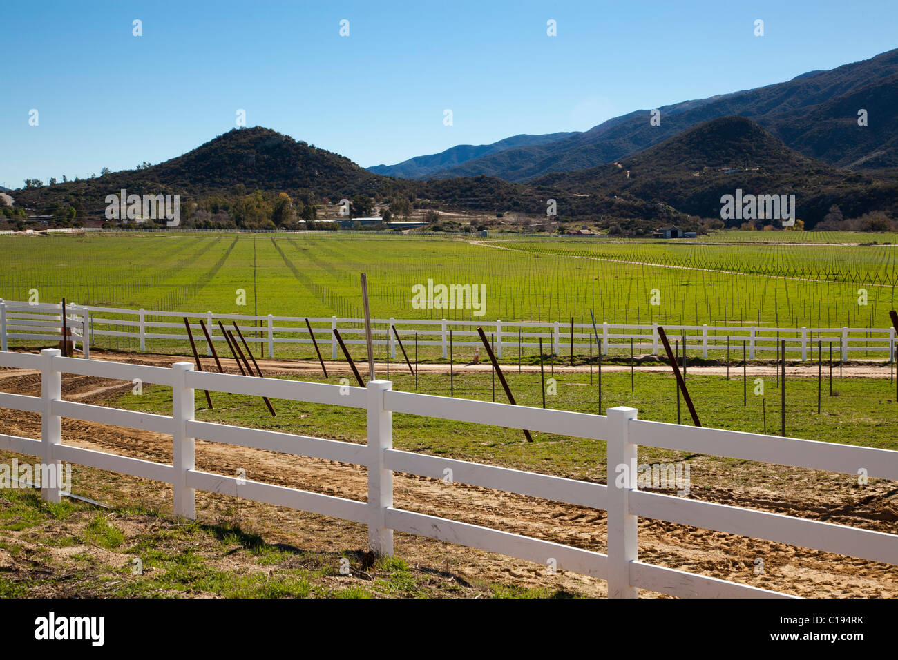 Farm Field, near Aguanga, California, United States of America Stock Photo