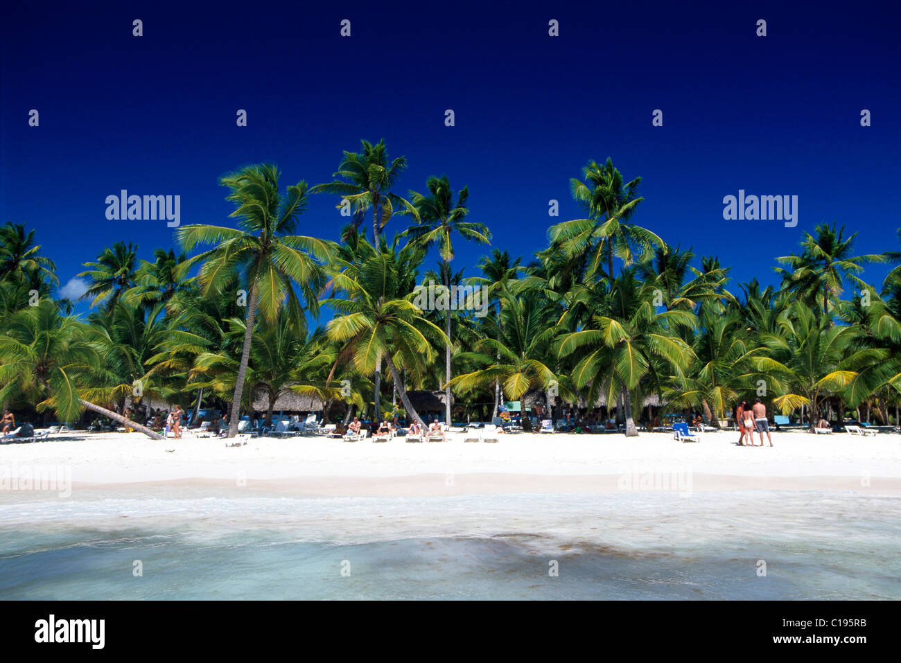 Palm beach on Saona Island, Parque Nacional del Este, Dominican Republic, Caribbean Stock Photo