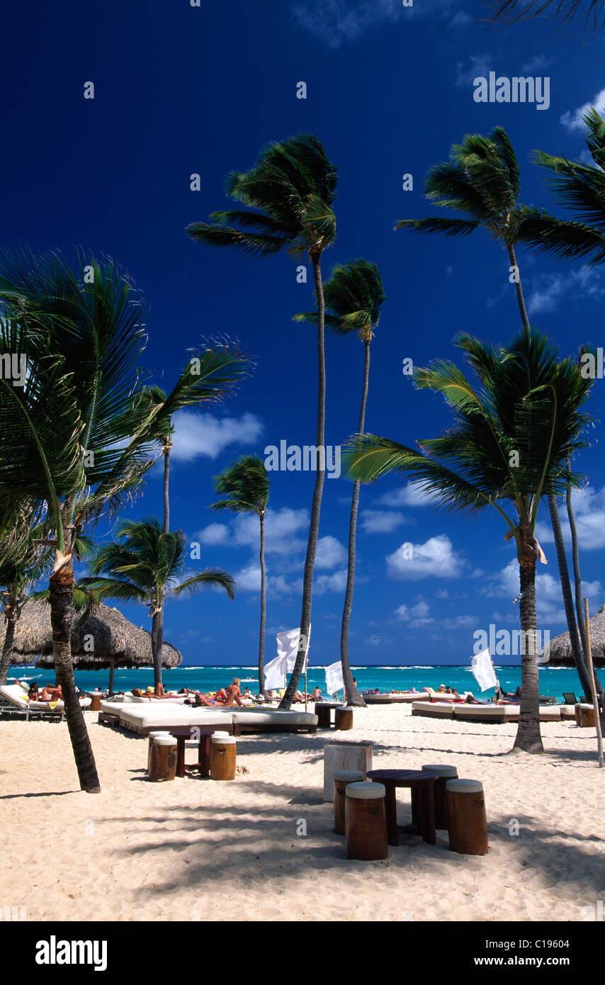 sunshades deck chairs palm beach playa bavaro near punta cana